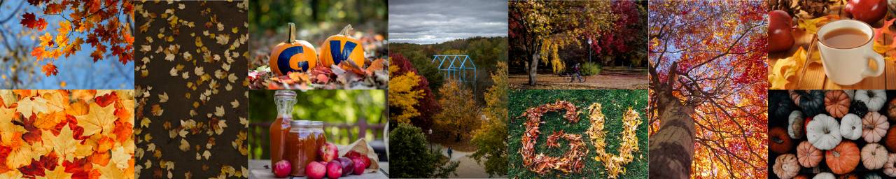 Picture collage of fall colors